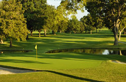 Black Hills Golf